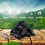 Marienburg 50L Restaurant Grade Charcoal 4
