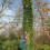 Spear & Jackson Spear & Jackson 4930FZ Razorsharp Telescopic Tree Pruner 4