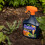 Resolva Resolva Pro Ready To Use Weedkiller, 1 L - Packaging May Vary 3