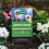 Westland Westland Growmore 1.5Kg 2