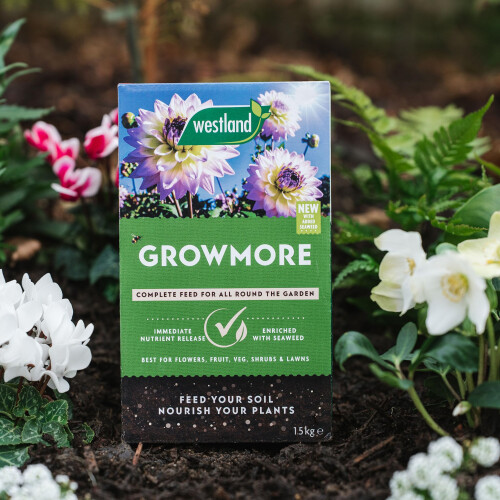 Westland Westland Growmore 1.5Kg 1