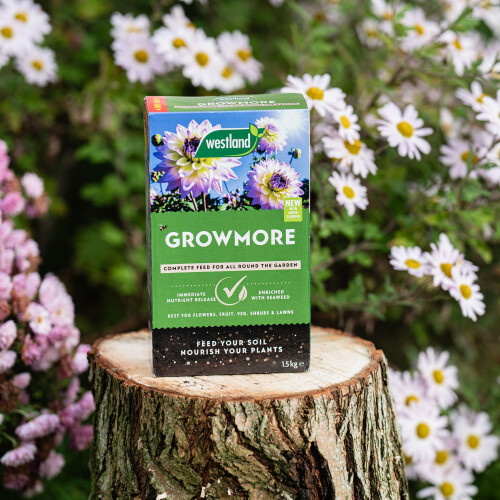 Westland Westland Growmore 1.5Kg 2