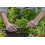 Gardena Gardena Micro-Drip-System Master Unit 1000: Starting unit for the automatic irri 5