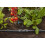 Gardena Gardena Micro-Drip-System Reducing T-Piece: Practical T-Connection for Transitio 5