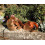 Dawn Chorus 12.55 kg Original Flavour Wild Bird Seed Mix 2