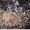Nemasys no ant 16sqm pack 2