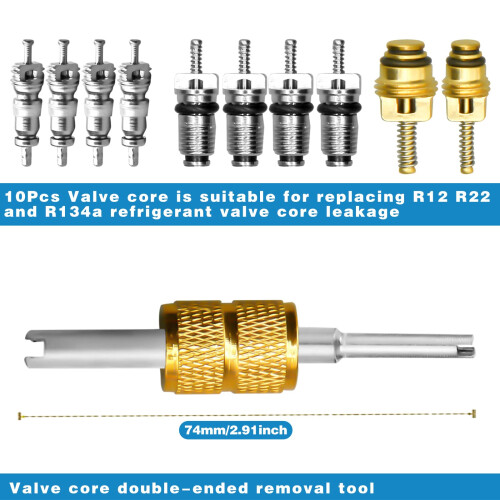 17 Pcs Air Conditioning Valve Core Kit,A/C Refrigeration System R12 & 2