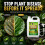 Fungus Defence Plus Spray 2.5L | Extra Large Plant Protection | Controls Blacksp 2