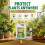 Fungus Defence Plus Spray 2.5L | Extra Large Plant Protection | Controls Blacksp 5
