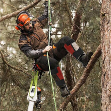 Picchetti da Arrampicata per Alberi, Ramponi da Arboricoltore, Ausilio Professionale per Lavori Sugli Alberi e Attività di Arboricoltura.