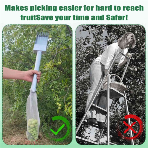 Fruit Picking Poles, Fruit Picking Baskets, Integrated Picking and Harvesting Systems for Mangoes, Oranges 1