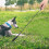 Frusta per Addestramento di Cani e : Bastone Resistente e Sonoro per La Gestione del Comportamento. 5