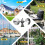 Bird Scare Reflective Device, Bird Reflector with Plastic Base for Outside Patio, Keep  Sparrows Away 3