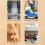 Intelligent Timer Shoe Dryer Telescopic Adjustable Dryer Quick Drying Deodorizing Shoe Dryer US Plug 4