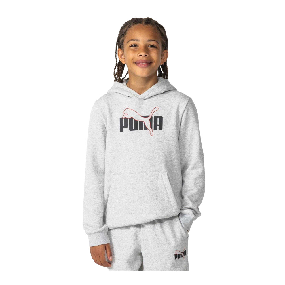 Puma (11-12 Years, Grey) Boys Brushed Fleece Hoodie