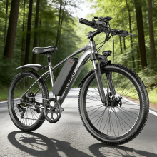 LIZIFLY G73 Electric Bike 250W Off-road 26'' Electric Mountain Bike