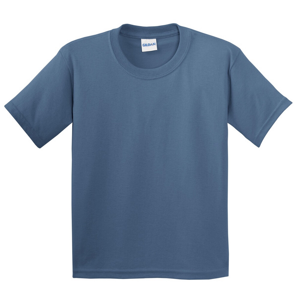 Gildan (L, Indigo ) Childrens Unisex Soft Style T-Shirt (Pack Of 2) Blue