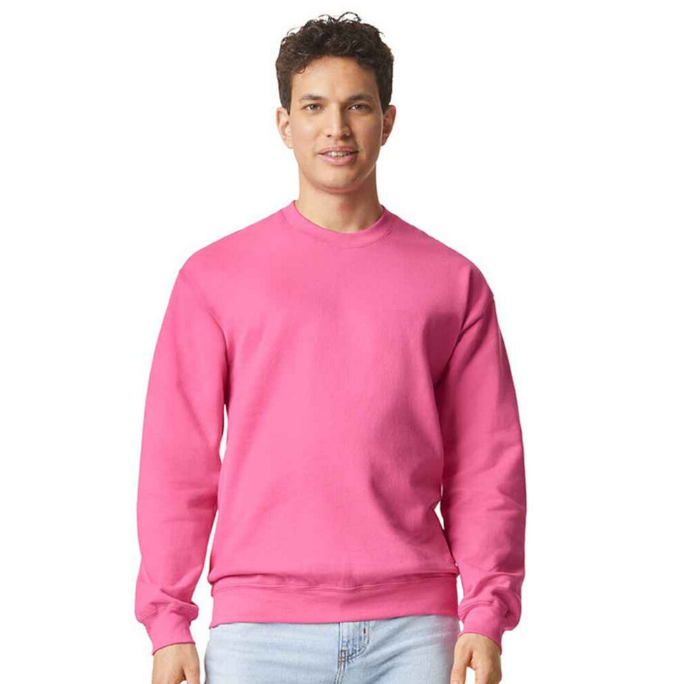 Gildan (L, Lemonade) Unisex Adult Softstyle Midweight Sweatshirt Pink