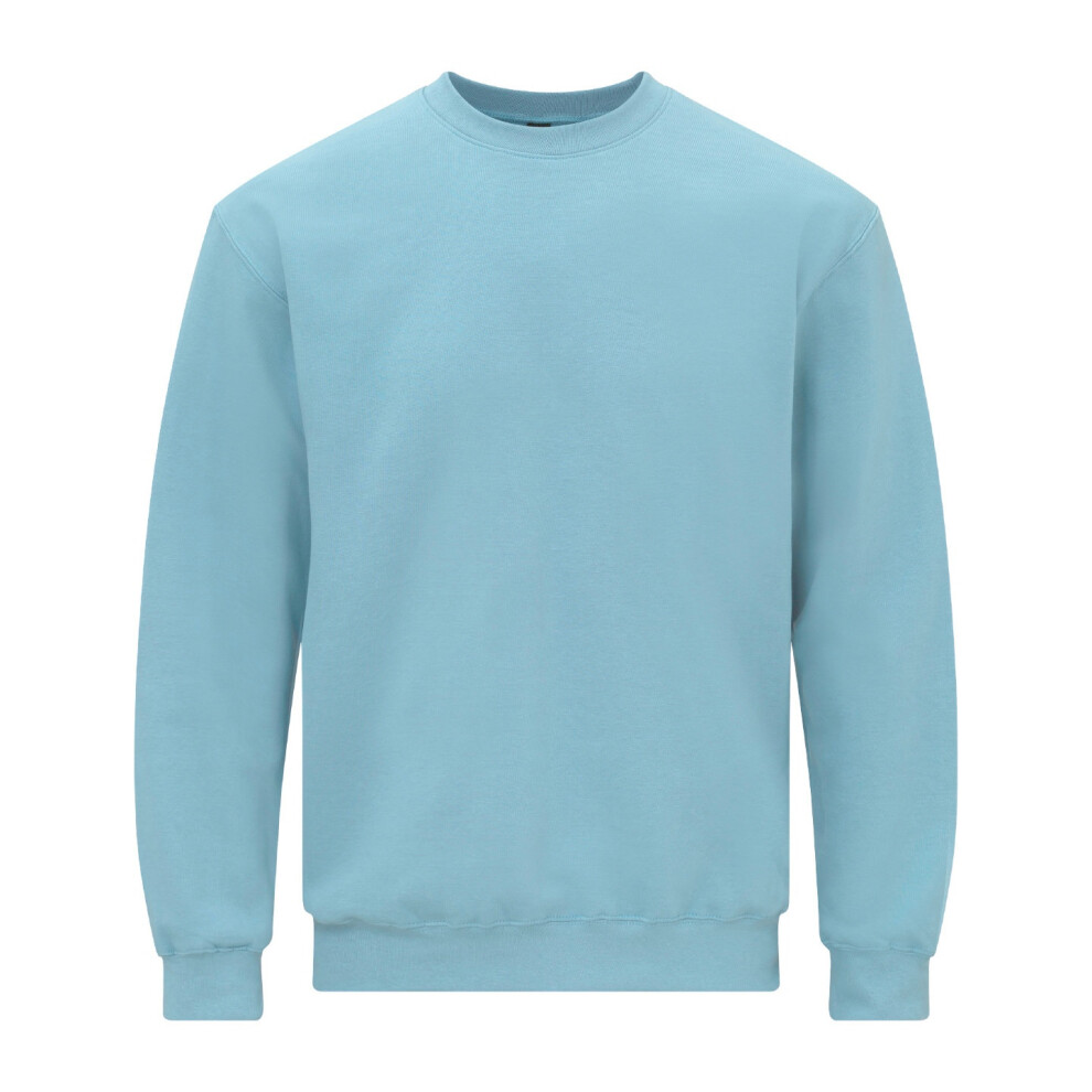 Gildan (M, Sky) Unisex Adult Softstyle Fleece Midweight Sweatshirt Multicoloured