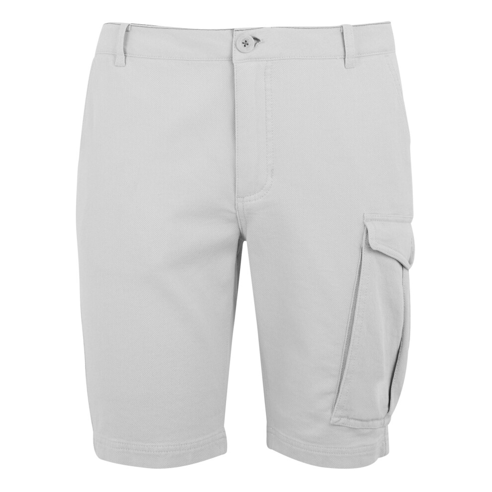 Regatta (44R, Iceberg) Mens Bendrick Shorts Multicoloured