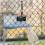 Support de Fixation pour Caméra D'Action avec Pince, Support D'Escalade Polyvalent pour  Action pour , Support de Fixation pour Caméra 6