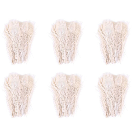 300 Peças/Penas de Pavão Branco Natural no Olho, 10 um 12 Polegadas da Decoração de Casamento de Penas de Pavão