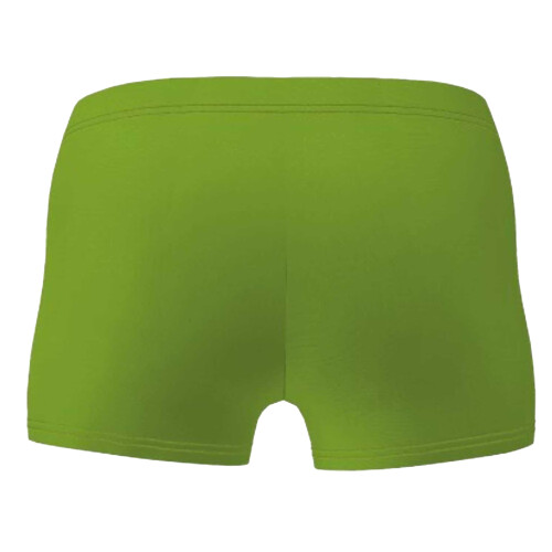 Arena Arena Boys Swim Shorts 1