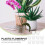10Pièces Pots Plastique Durable Pour Cactus Orchidées 6