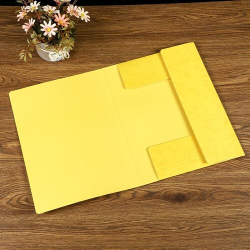 Oxford Cardboard Folder, Assorted Colours, A4 File Pocket for Documents and Paper Storage 1