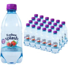 Radnor Splash Sparkling Sugar Free Flavoured Water 330ml x 24