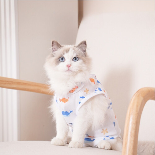 Comfortable Cat Recovery Suit - Post-Surgery & Weaning Protection  L 2