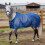 Breathable Mesh Horse Fly Sheet with Adjustable Buckles-Black 9