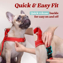 Arnés ajustable antitirones para perros pequeños, fácil de poner, con clip frontal, color rojo.