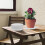 10St Stevige PP Plant Drip Tray Pot Voor 3