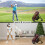 Functioneel golftrainingsnet, donkere kleur, geschikt voor 6