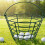 Premium Golf Ball Holder Basket Shielded Coated Wire Net-Black 5
