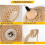 Retro Bamboo Wall Sconce, Wooden Indoor Wall Light with E27 Plug and Switch, Includes Bulb 4