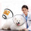 Collier de protection, collier conique pour animal de compagnie Transparent S 3