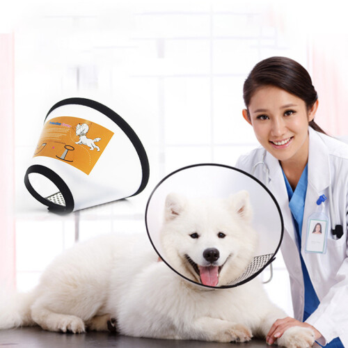Collier de protection, collier conique pour animal de compagnie Transparent S 2