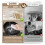 45 Pack Biodegradable Natural Kitchen Sponge - Compostable Cellulose and Coconut Walnut Scrubber Sponge 7