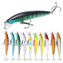 PASSIONOVA Fishing Lures 10 pcs Realistic Bionic Baits for Freshwater and Saltwater Fishing, Depth 0.5-1.5m