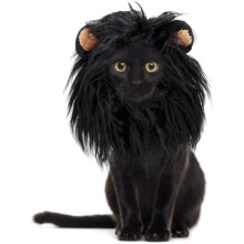 Duokon Haustierperücke, Hunde- und Katzen-Cosplay-Kostüm