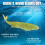 3Pack Multicolor Basses Fishing Soft Realistic Lures With-17cm 10
