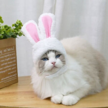 Hasenhut für Katzen und Welpen, Partyaccessoires für Haustiere, Kopfbedeckung (weiß)