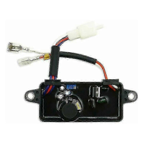 Stabilizzatore automatico di tensione AVR da 2kW e 3kW per generatore 1