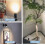 Dimmable 3-Color LED Spot Lights compatible with Indoor Plants, Adjustable Accent Uplight with Dimmer Switch 2