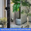 Dimmable 3-Color LED Spot Lights compatible with Indoor Plants, Adjustable Accent Uplight with Dimmer Switch 3