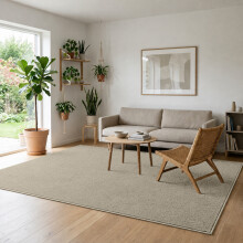 (120 X 170 cm, Mink Beige) Super Fluffy Non Slip Rug with Memory Foam Rubber Backing 600 GSM | Machine Washable & Fade Resistant