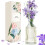 Scent-Hi Reed Diffuser 200ml Fragrance Reed Diffusers, Aromatherapy Diffuser Set with 6 Fiber Sticks, Long Lasting Home Indoor Fragrance Reed Diffuse 1