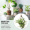 Air Pineapple Hook Hanging Flower Stand Pots Display Hanger Holder Iron 2